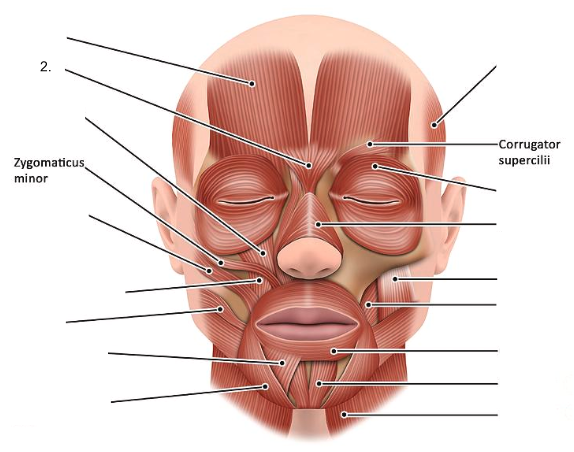 <ol start="2"><li><p></p></li></ol><p></p>