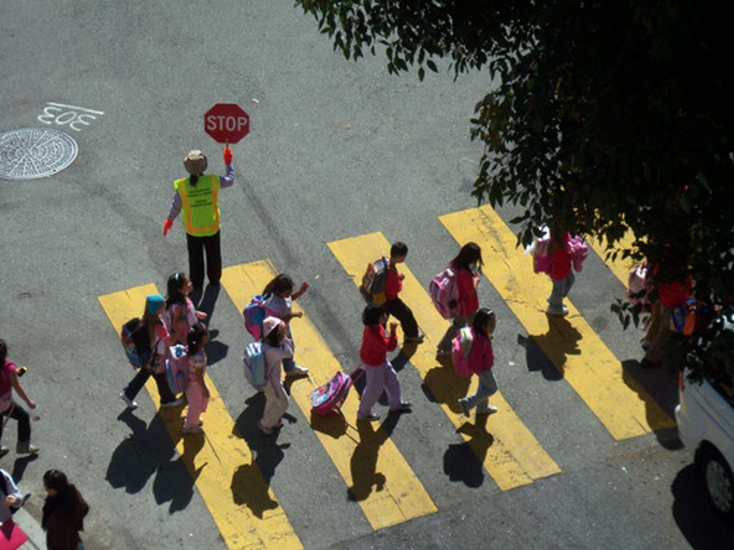<p>to go to school</p>