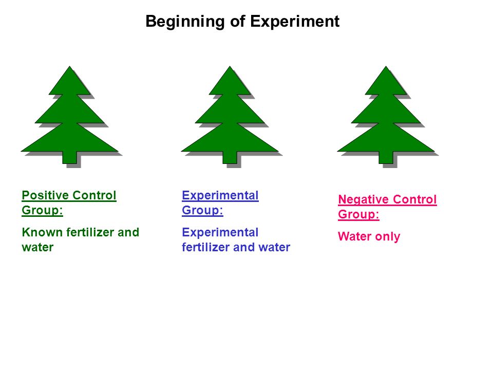 group where an effect is expected

\
expected to have a positive result, allowing the researcher to show that the experimental set up was capable of producing results.