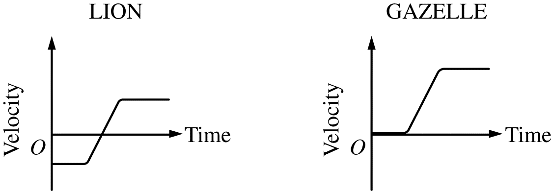 A. Lion's graph starts below the x-axis, then crosses it, and then continues constantly at the top. Gazelle's graph starts at the x-axis goes straight, and then increases
