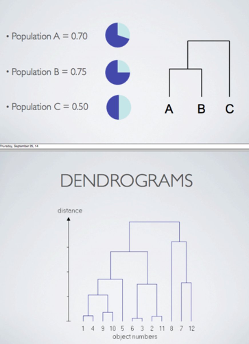 <p>Visualisation of the entire hierarchical clustering process</p>