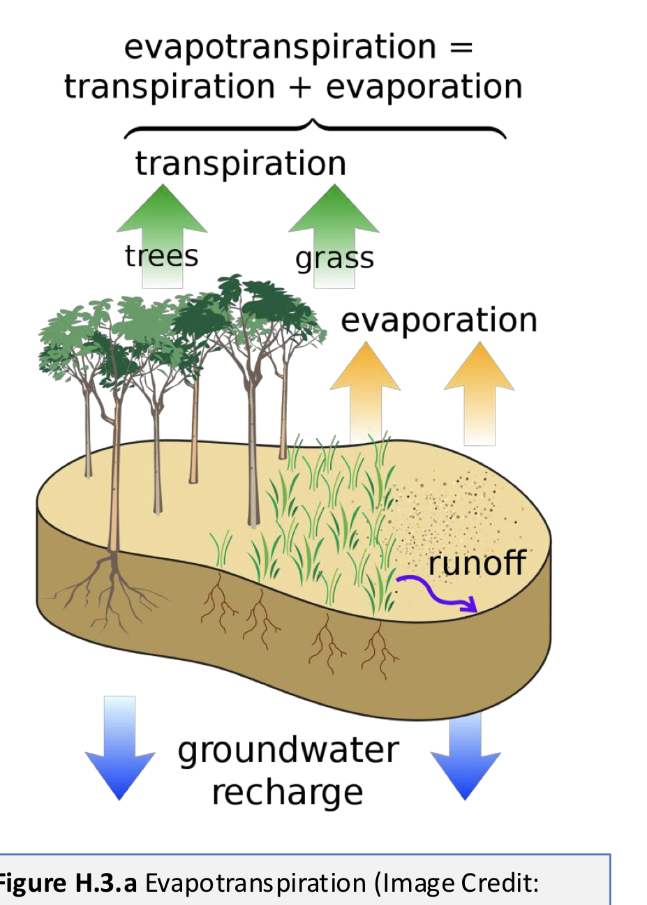 <p>Evaporation + transpiration</p>