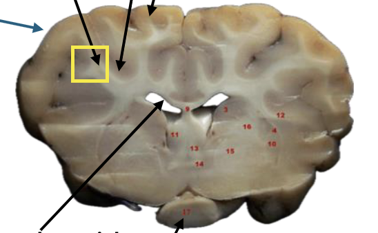 <p>What is this highlighted figure?</p>