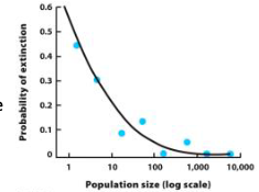 <p>of birds on the Channel Islands is inversely correlated with population size</p>