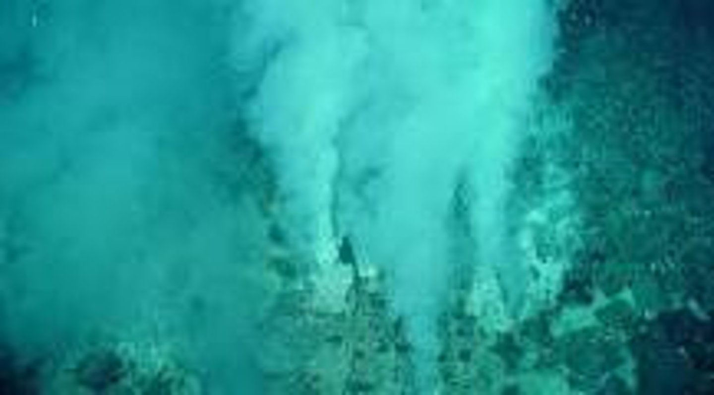 <p>- organisms that live in environments with extreme conditions, eg. bacteria that live in deep sea vents</p>