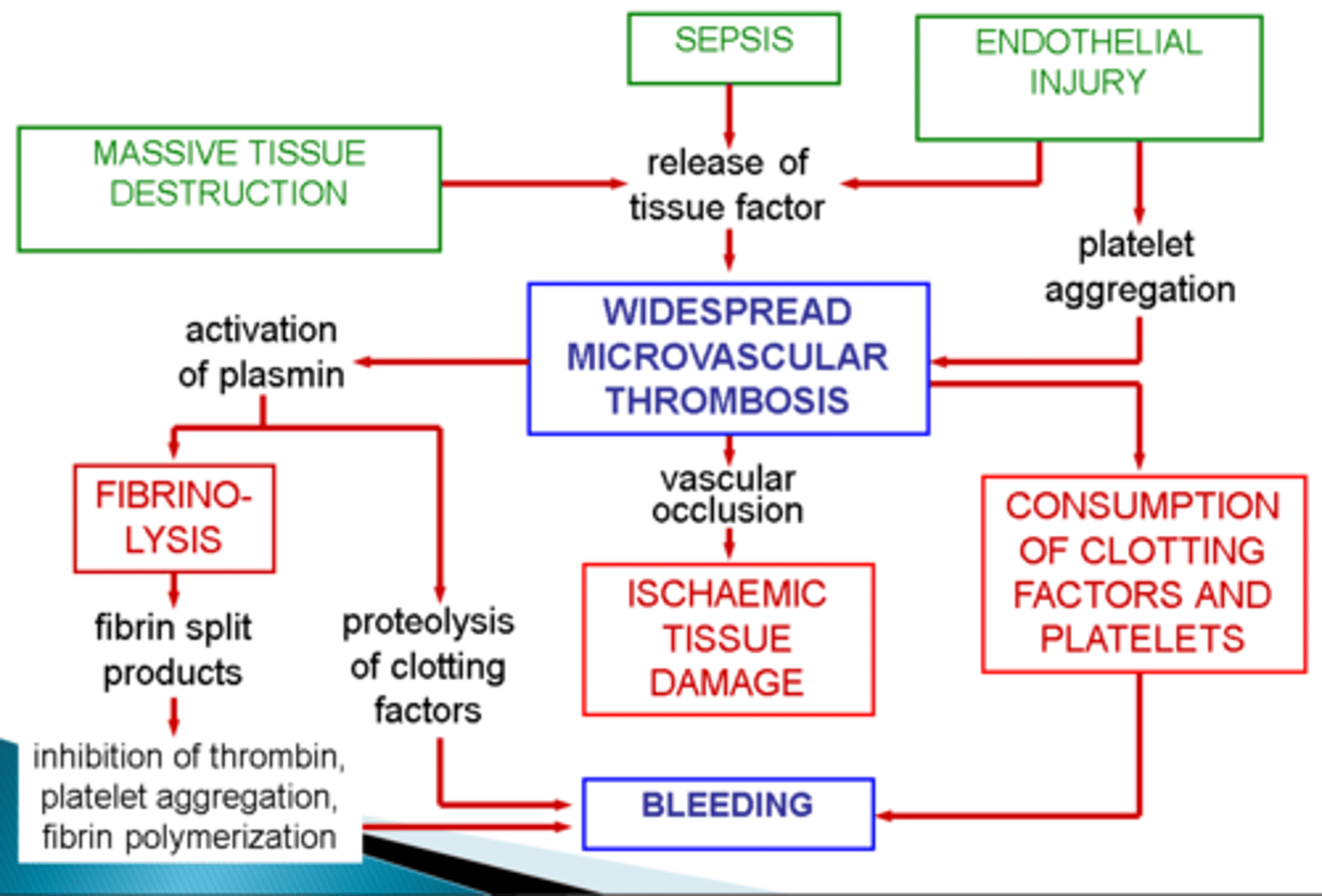<p>DIC pathogenesis</p>