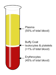 <p>Plasma: 55% of blood volume</p><ul><li><p>91% water</p></li><li><p>7% proteins</p><ul><li><p>Examples: albumin, fibrinogen, globulins = antibodies</p></li></ul></li><li><p>2% nutrients, hormones, and electrolytes</p></li></ul><p>Formed elements: 45% of blood volume</p><ul><li><p>Buffy coat = WBCs (7000-9000/mm³) + Platelets (250,000/mm³) </p></li><li><p>RBCs (5,000,000/mm³)  </p></li></ul>