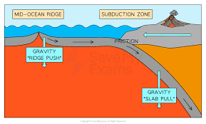 <ol><li><p>Newly formed crust is hotter and less dense than older oceanic crust so rises forming the elevated ridge </p></li><li><p>So height of mid ocean ridge is higher than surrounding ocean floor so gravitational force cause lithosphere to slide away from ridge towards subduction zone-this is called ridge push</p></li><li><p>As plates spread they get older and denser and sink slightly</p></li></ol><p></p>