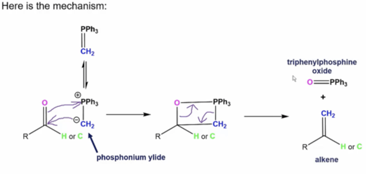 <p>1. -CH2 from the Wittig attacks the carbonyl carbon, which causes the oxygen to attack PPh3, forming a boxy intermediate</p><p>2. electrons swing down from oxygen and PPh3 to form our products</p>
