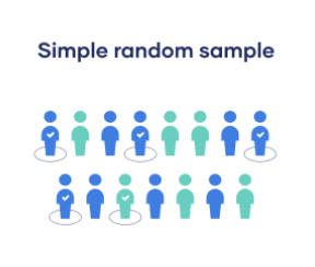 <p>Probability: <strong>Simple Random</strong></p>