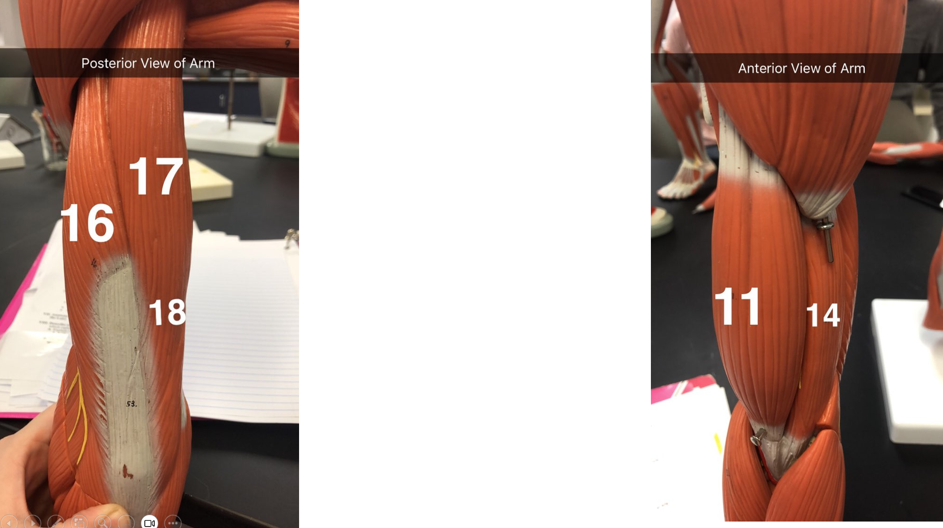 <p>what is 16,17,18</p>