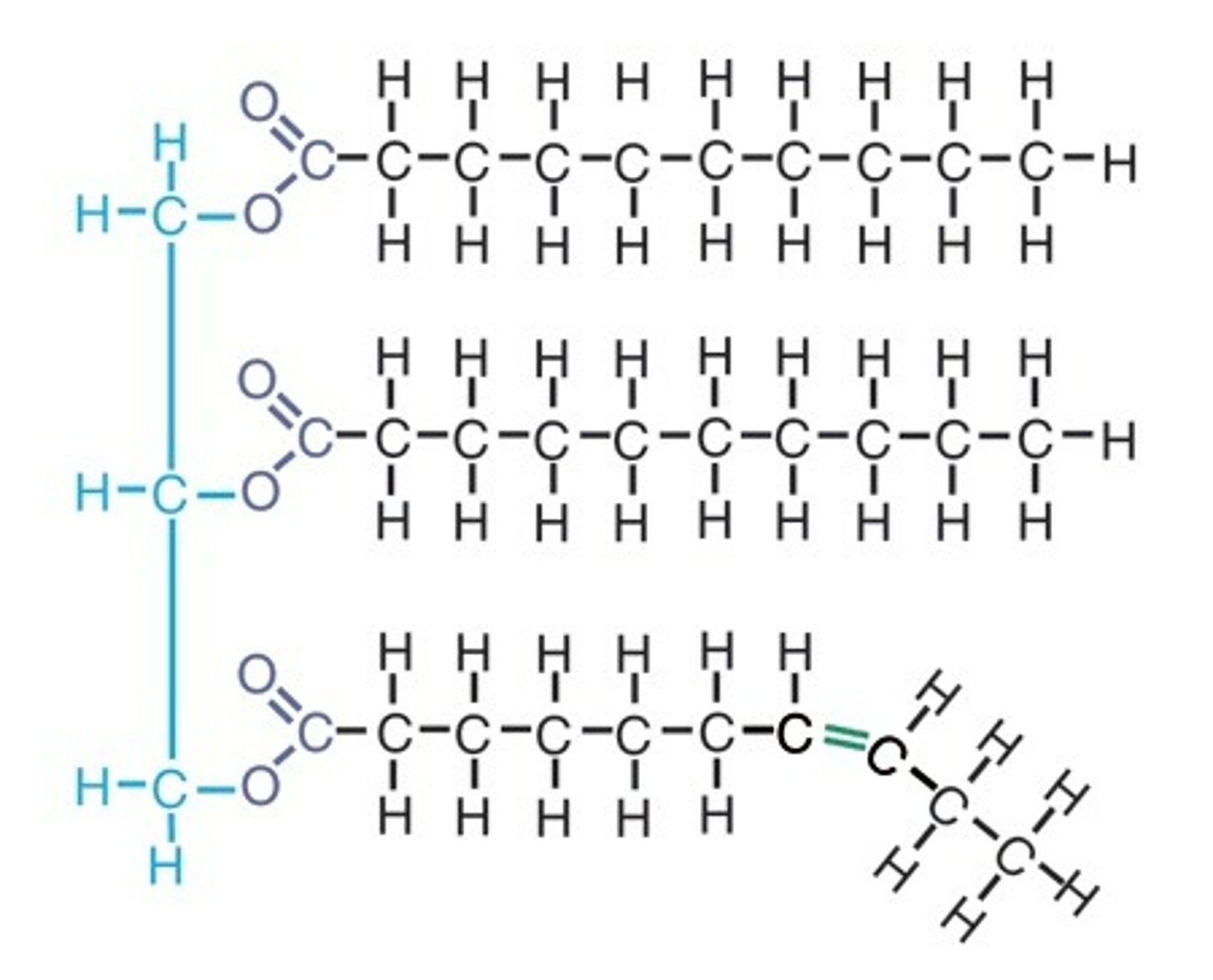 <p>oils, coming from plant sources, liquid @ room temp</p>