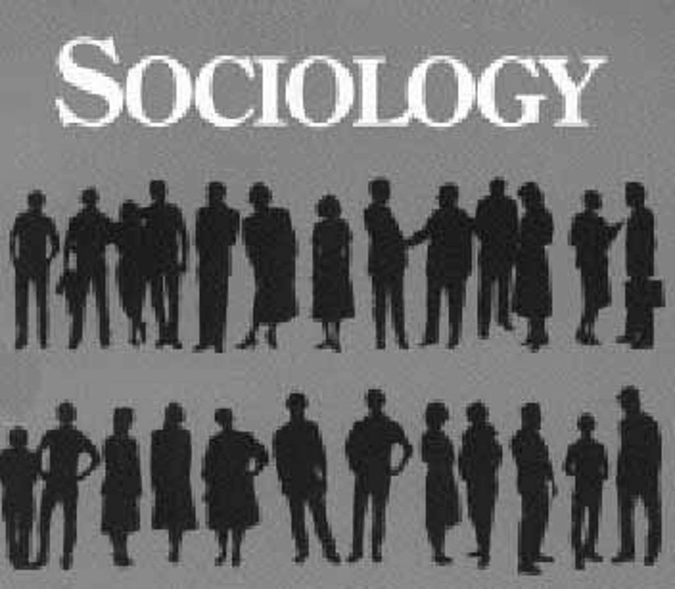 <p>sociology</p>