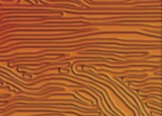 <p>What causes wrinkling in a finish?</p>