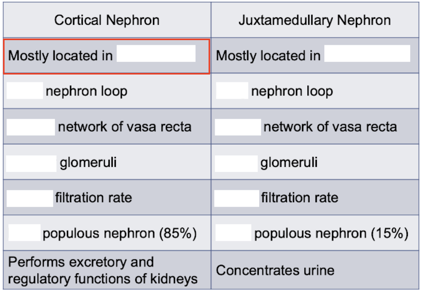 <p>Renal cortex or renal medulla?</p>