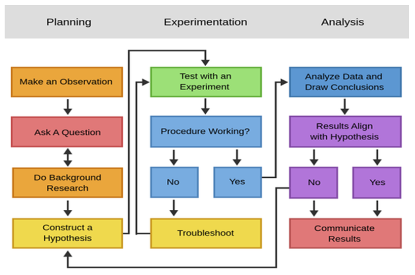 <p>framework used to accurately investigate the world and explain natural phenomena</p>