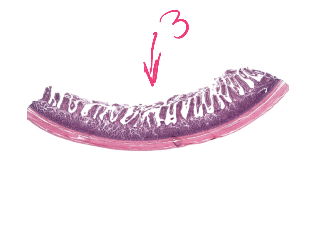 <p>3</p>