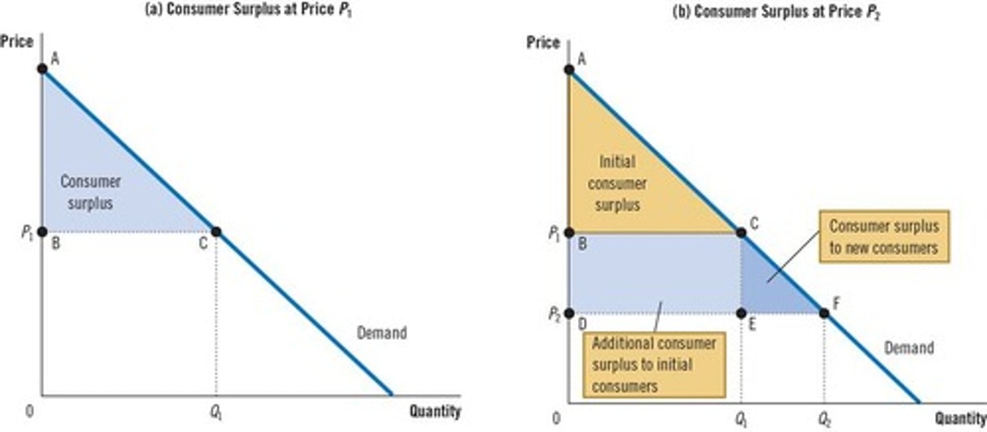 <p>The area below the demand curve and above the price measures consumer surplus.</p>