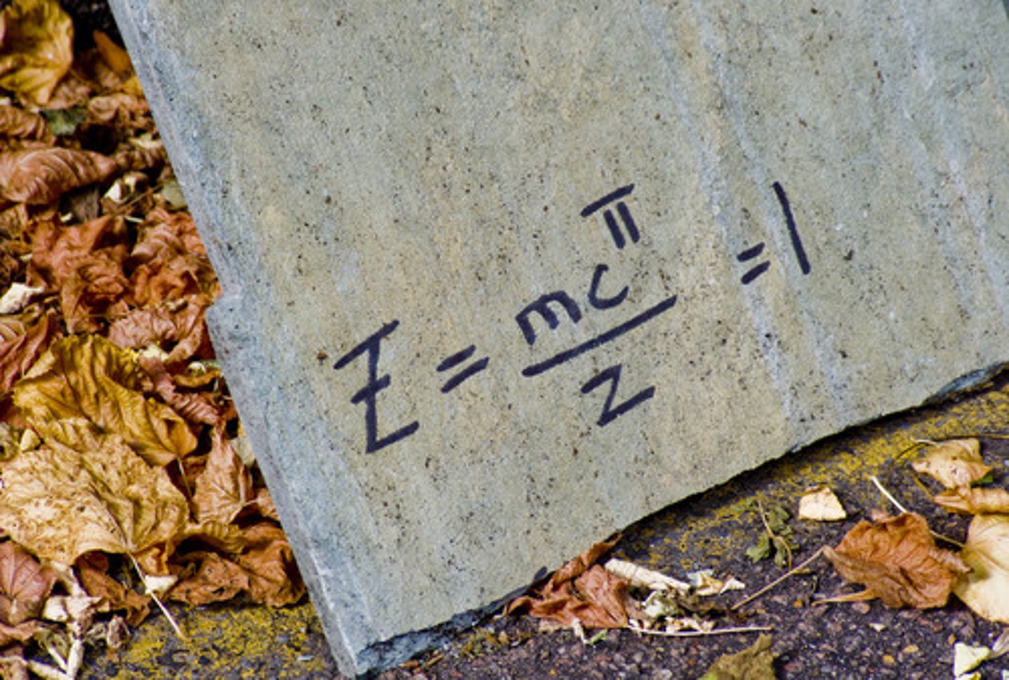 <p>la réponse</p>