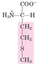 <p>M</p>