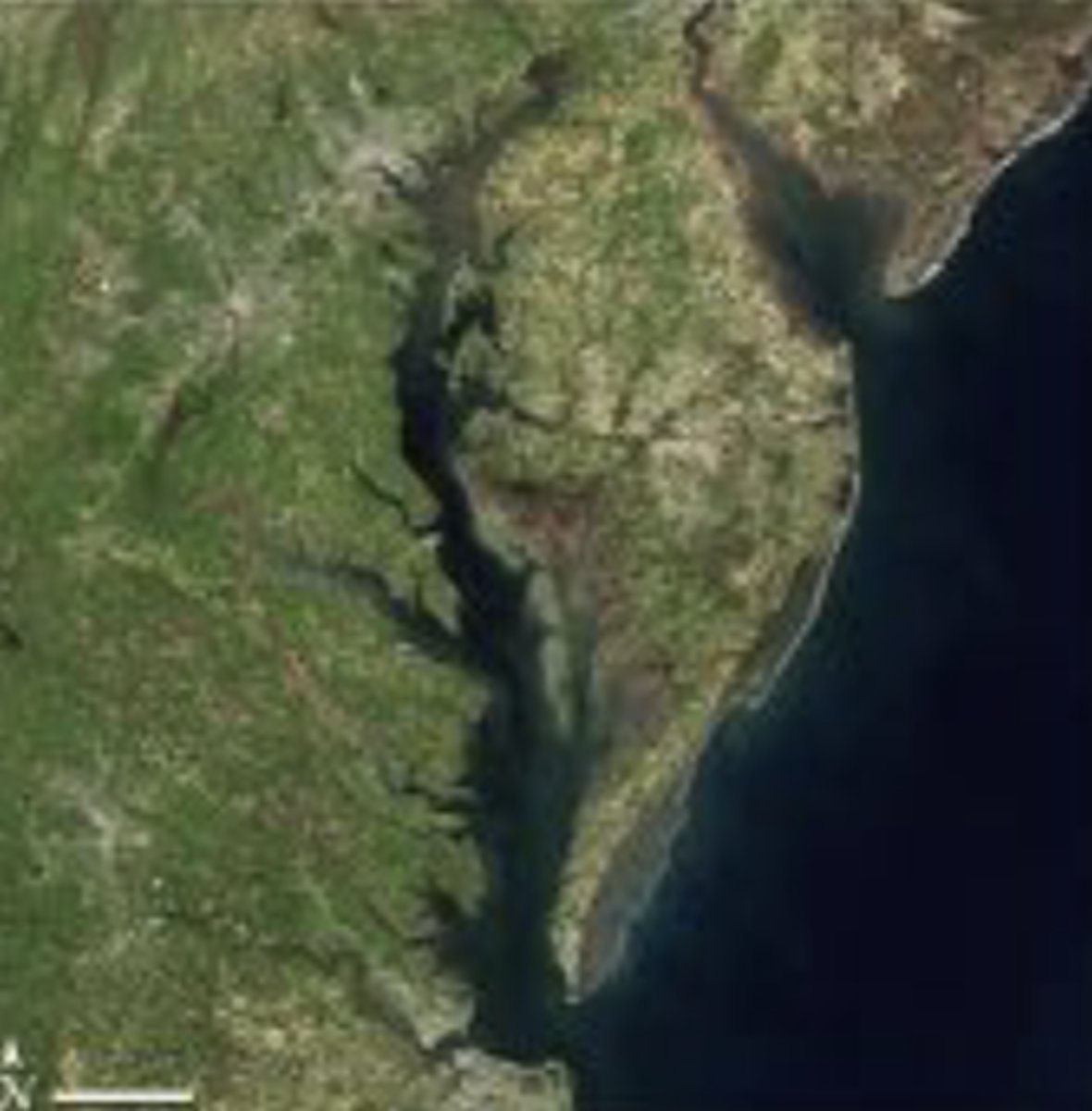 <p>coastal plain</p><p>passive margins</p>