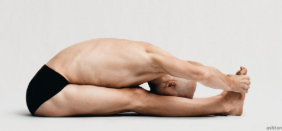 <p>What Pose Is This?</p>