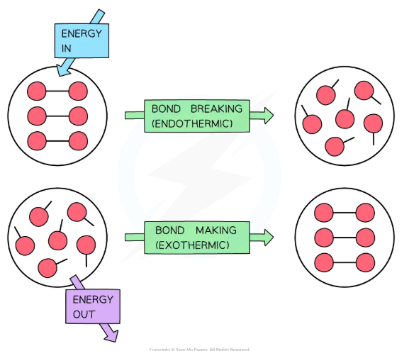 <p><u>Exothermic vs. Endothermic</u></p><p>Bond <em>breakage </em>is generally _____________ while bond <em>formation </em>is generally _____________</p>