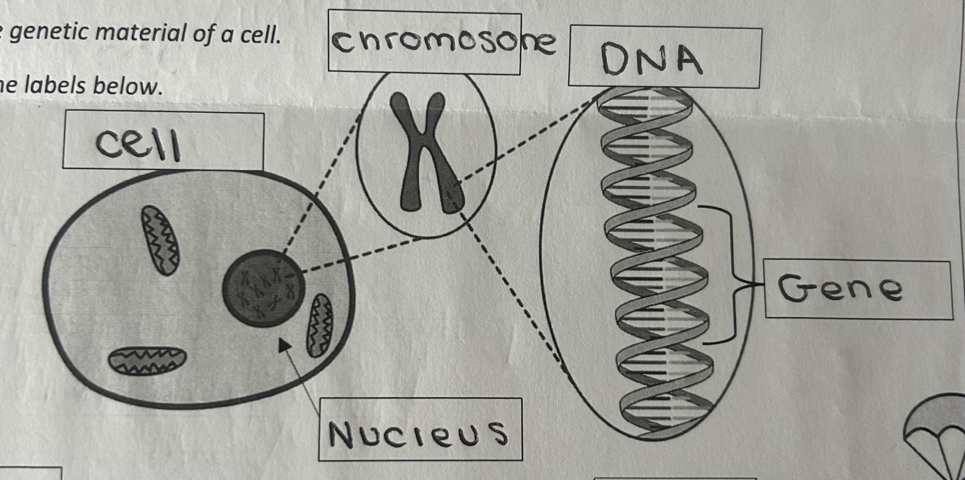 knowt flashcard image