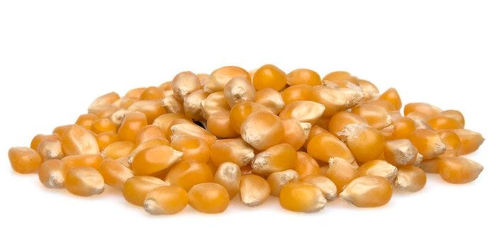 <p>what is a kernel </p>