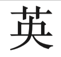 term image