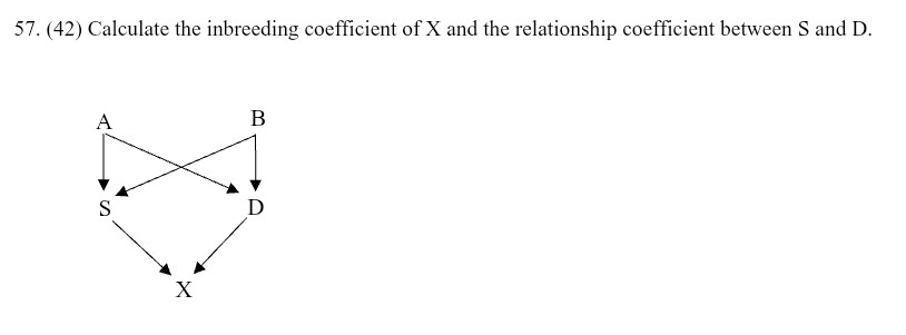 <p>(42) Calculate the inbreeding coefficient of X and the relationship coefficient between S and D</p>