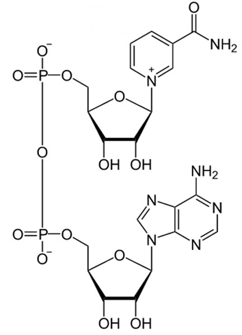 <p>Name that structure.</p>