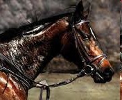 <p>Production and excretion of sweat</p>