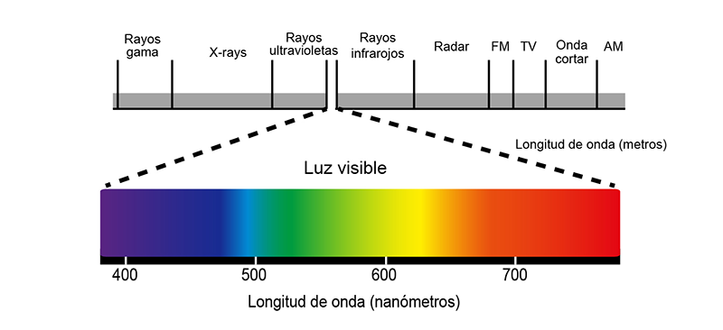 <ul><li><p>El prisma tiene un “n” y desviación (ángulo de refracción) distinto para cada color.</p></li><li><p>El color menos desviado es el rojo y el más desviado el violeta.</p></li></ul><p>“A mayor longitud de onda corresponde menor desviación y viceversa (a mayor longitud de onda, una misma sustancia ofrece menor índice de refracción)”</p>