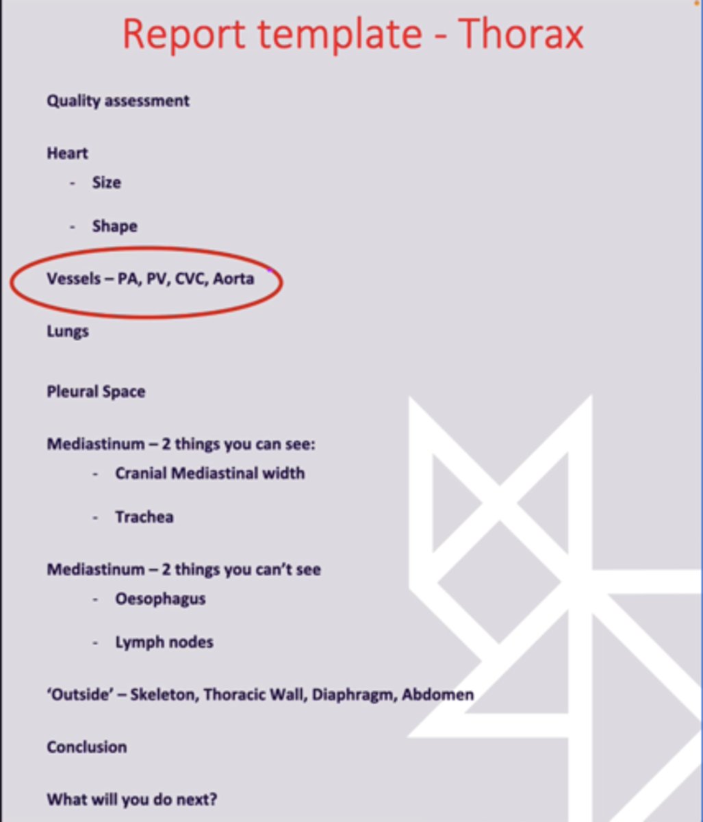 <p>1. 2nd (Behind Quality Assesment)</p><p>2. 3rd</p><p>3. 4th</p><p>4. 5th</p><p>5. 6th </p><p>6. 7th</p>
