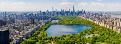 <p>Who designed Central Park in New York City, NY?</p>
