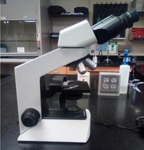 <p>microscope</p>
