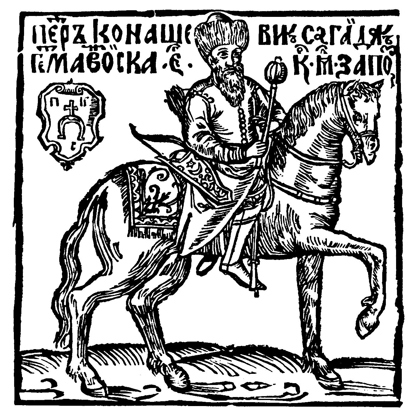 term image