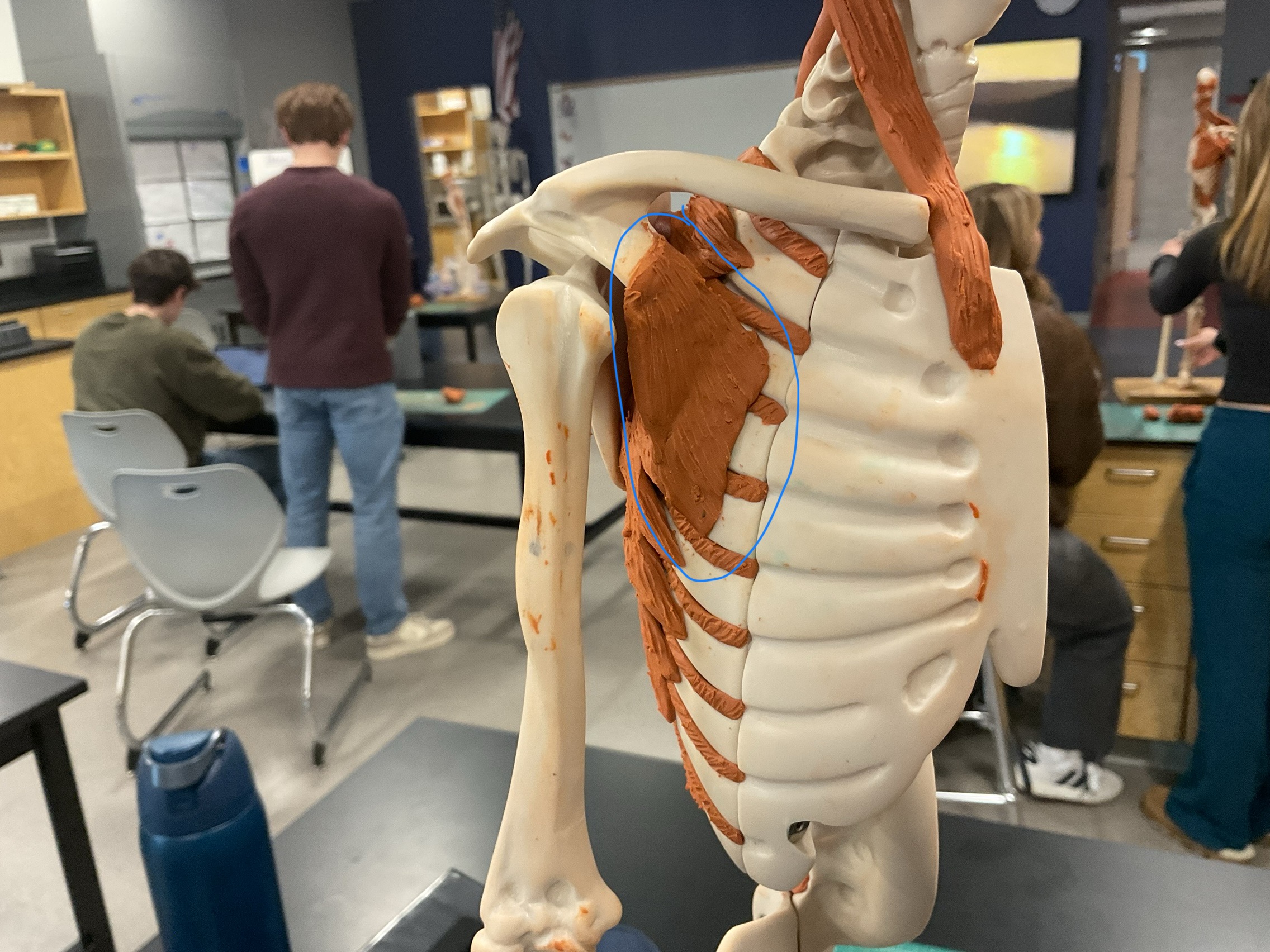 knowt flashcard image