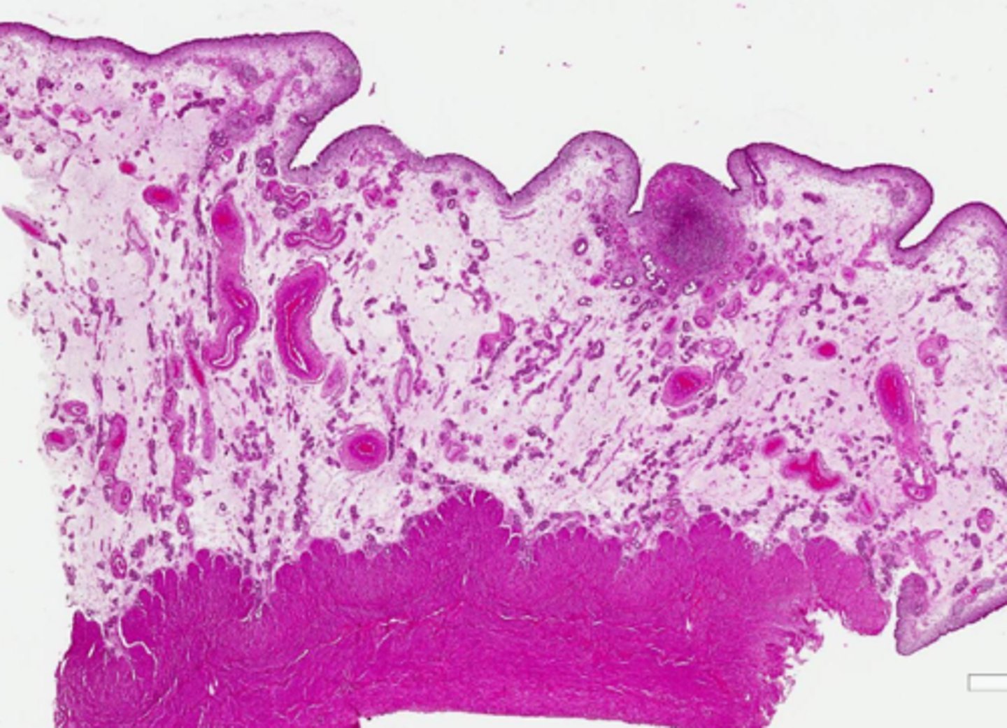 <p>Is this normal?</p>