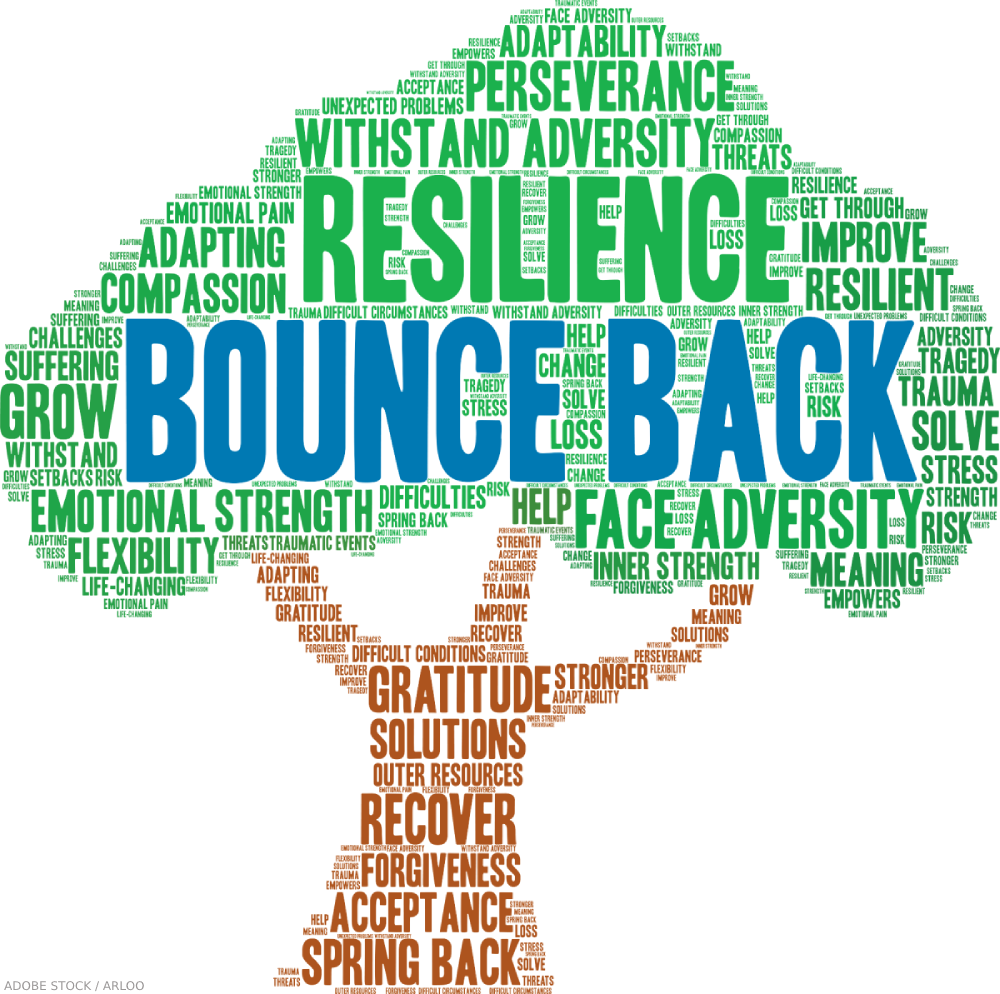 <p>Resilience</p>