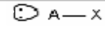 <p>Linear, 180°, sp, 1 bonding pairs, 1 lone pairs</p>