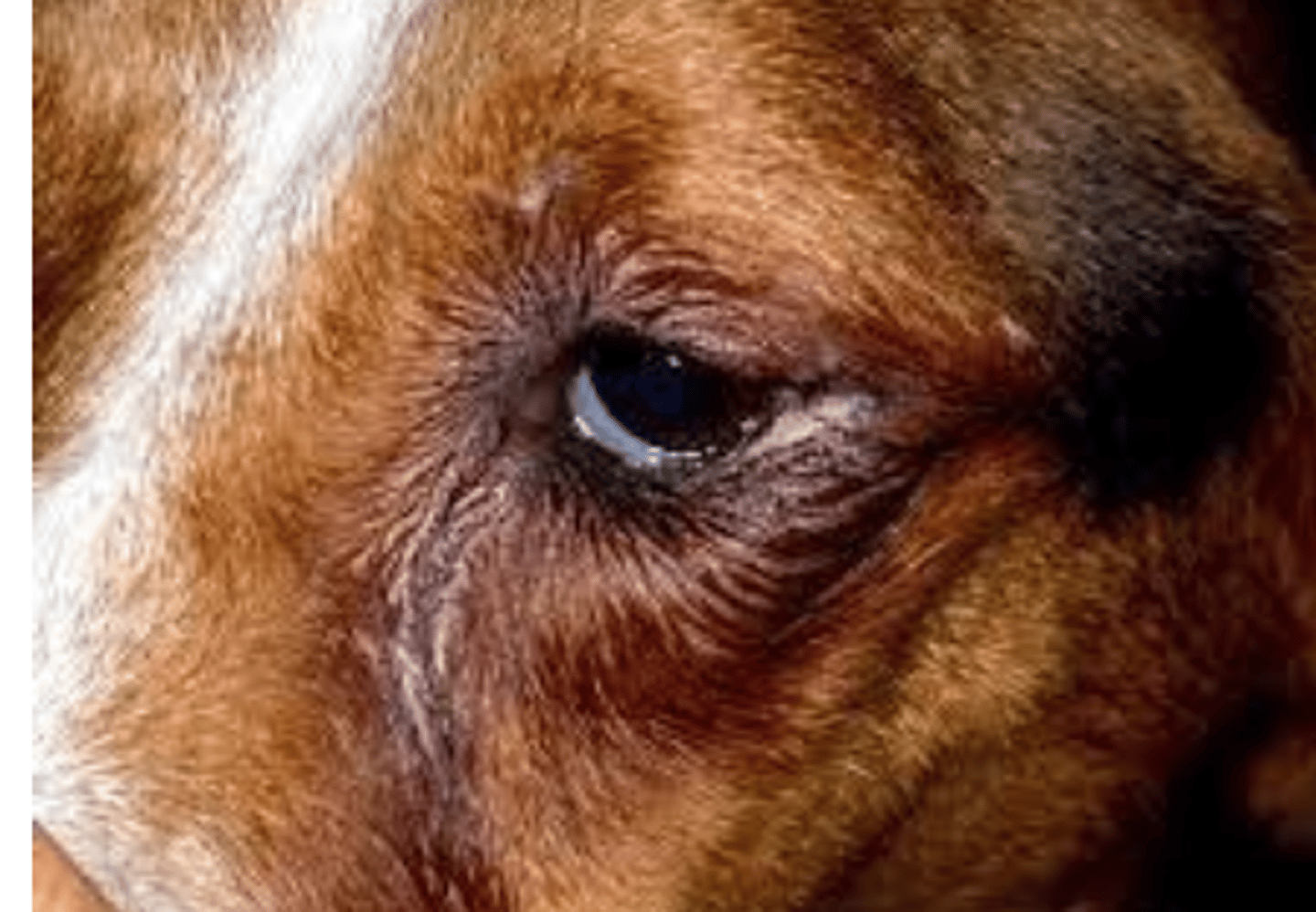 <p>what is this called?</p>