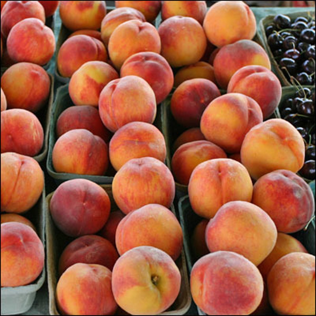 <p>Peach</p>
