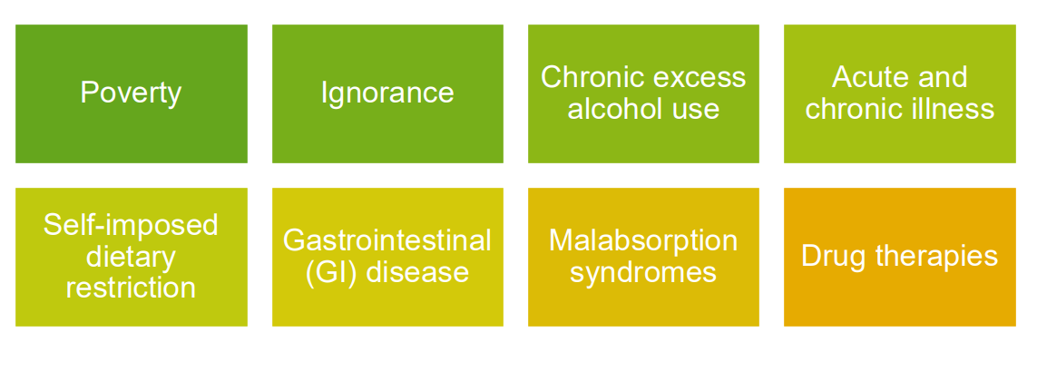 <p>- Poverty</p><p>- Ignorance</p><p>- Chronic excess alcohol use</p><p>- Acute and Chronic Illness</p>