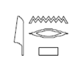 term image
