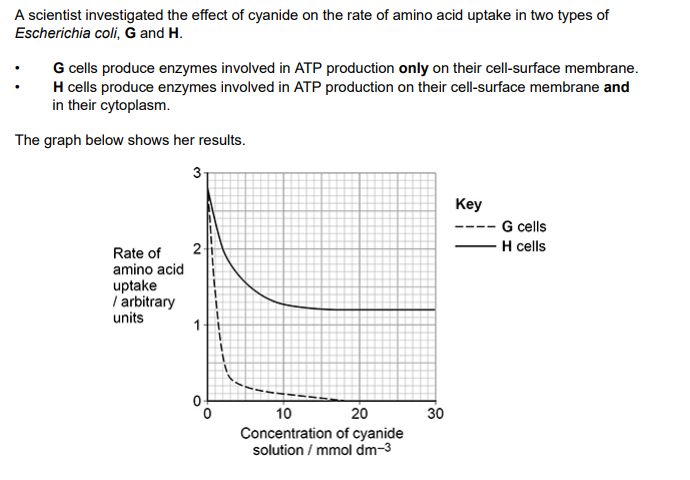 <p>(b)  Use the graph above to calculate the percentage decrease in the rate of amino acid absorption by H cells in 30 mmol dm–3 cyanide solution.</p><p>(c)  Using the graph above and the information provided, what can you conclude about amino acid uptake by G cells and by H cells?</p>
