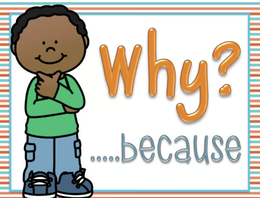 <p>because</p>