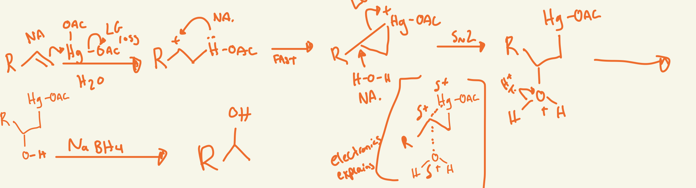 <p>first double bond nu attacks the Hg at less substituted side and 1 OAc has LG loss and the lone pair on Hg nu attack the carbon cation then H2O nu attacks the carbon cation and LG loss of positive Hg-OAc then H2O H+ transfer then NaBH4 somehow removes Hg-OAc so then just OH on more substituted side </p>