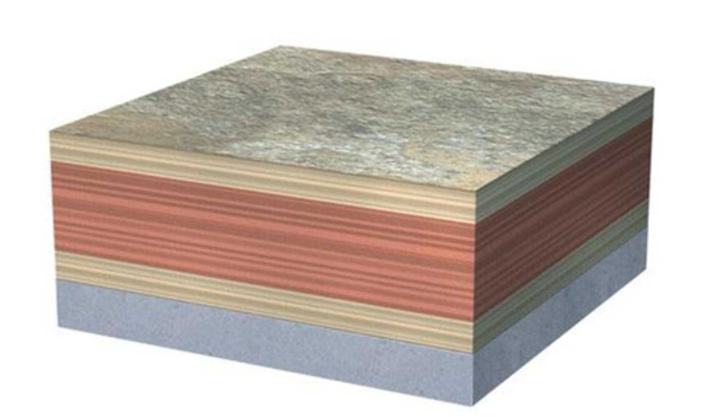 <p>The layer on the bottom</p>